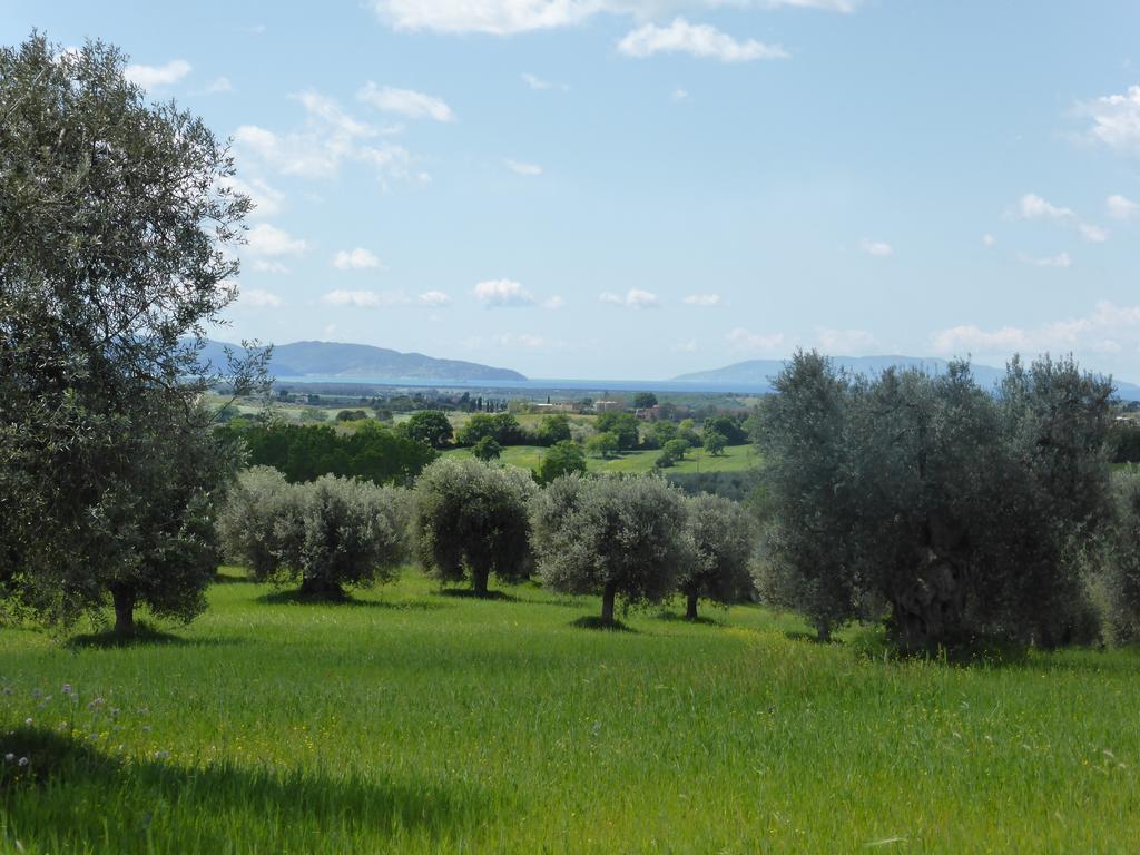 Campospillo Vila Magliano in Toscana Exterior foto